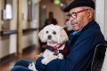 Types of Helpful Dogs for People My Caring Dog – Tips, Stories, and Care Guides for Loving Pet Owners Types of Helpful Dogs for People | My Caring Dog – Tips, Stories, and Care Guides for Loving Pet Owners