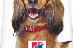 Hill's Science Diet Oral Care Dog Food My Caring Dog – Tips, Stories, and Care Guides for Loving Pet Owners Hill's Science Diet Oral Care Dog Food | My Caring Dog – Tips, Stories, and Care Guides for Loving Pet Owners