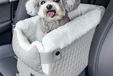 Top Safe Dog Car Seats: Ultimate Guide My Caring Dog – Tips, Stories, and Care Guides for Loving Pet Owners Top Safe Dog Car Seats: Ultimate Guide | My Caring Dog – Tips, Stories, and Care Guides for Loving Pet Owners