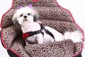 Top Crash Test Dog Car Seat: Safe Travels My Caring Dog – Tips, Stories, and Care Guides for Loving Pet Owners Top Crash Test Dog Car Seat: Safe Travels | My Caring Dog – Tips, Stories, and Care Guides for Loving Pet Owners