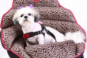 Top Crash Test Dog Car Seat: Safe Travels My Caring Dog – Tips, Stories, and Care Guides for Loving Pet Owners Top Crash Test Dog Car Seat: Safe Travels | My Caring Dog – Tips, Stories, and Care Guides for Loving Pet Owners