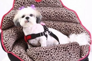 Top Crash Test Dog Car Seat: Safe Travels My Caring Dog – Tips, Stories, and Care Guides for Loving Pet Owners Top Crash Test Dog Car Seat: Safe Travels | My Caring Dog – Tips, Stories, and Care Guides for Loving Pet Owners