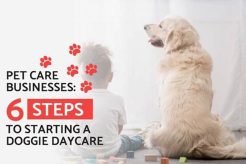 Start & Run a Thriving Dog Daycare: A Guide My Caring Dog – Tips, Stories, and Care Guides for Loving Pet Owners Start & Run a Thriving Dog Daycare: A Guide | My Caring Dog – Tips, Stories, and Care Guides for Loving Pet Owners