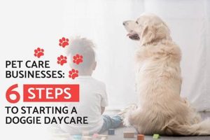 Start & Run a Thriving Dog Daycare: A Guide My Caring Dog – Tips, Stories, and Care Guides for Loving Pet Owners Start & Run a Thriving Dog Daycare: A Guide | My Caring Dog – Tips, Stories, and Care Guides for Loving Pet Owners