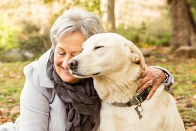 Best Companion Dogs for Seniors & Elderly People My Caring Dog – Tips, Stories, and Care Guides for Loving Pet Owners Best Companion Dogs for Seniors & Elderly People | My Caring Dog – Tips, Stories, and Care Guides for Loving Pet Owners