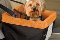Best Kurgo Car Seats for Dogs: Safe Travels My Caring Dog – Tips, Stories, and Care Guides for Loving Pet Owners Best Kurgo Car Seats for Dogs: Safe Travels | My Caring Dog – Tips, Stories, and Care Guides for Loving Pet Owners