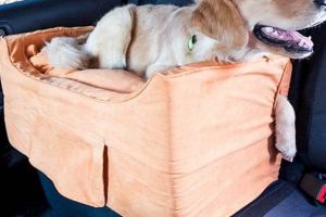 Best Large Dog Booster Seats For Cars & SUVs My Caring Dog – Tips, Stories, and Care Guides for Loving Pet Owners Best Large Dog Booster Seats For Cars & SUVs | My Caring Dog – Tips, Stories, and Care Guides for Loving Pet Owners
