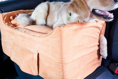 Best Large Dog Booster Seats For Cars & SUVs My Caring Dog – Tips, Stories, and Care Guides for Loving Pet Owners Best Large Dog Booster Seats For Cars & SUVs | My Caring Dog – Tips, Stories, and Care Guides for Loving Pet Owners