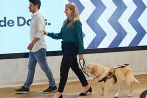 Top igdf Accessories for Your Car Dog My Caring Dog – Tips, Stories, and Care Guides for Loving Pet Owners Top igdf Accessories for Your Car Dog | My Caring Dog – Tips, Stories, and Care Guides for Loving Pet Owners