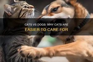 Cat vs. Dog Care: Easier Pet? My Caring Dog – Tips, Stories, and Care Guides for Loving Pet Owners Cat vs. Dog Care: Easier Pet? | My Caring Dog – Tips, Stories, and Care Guides for Loving Pet Owners
