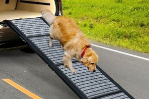 Best Car Ramps for Large Dogs: SUV Edition My Caring Dog – Tips, Stories, and Care Guides for Loving Pet Owners Best Car Ramps for Large Dogs: SUV Edition | My Caring Dog – Tips, Stories, and Care Guides for Loving Pet Owners
