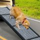 Best Car Ramps for Large Dogs: SUV Edition | My Caring Dog – Tips, Stories, and Care Guides for Loving Pet Owners