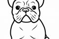 Best Dog Page for Your Car Dog Needs My Caring Dog – Tips, Stories, and Care Guides for Loving Pet Owners Best Dog Page for Your Car Dog Needs | My Caring Dog – Tips, Stories, and Care Guides for Loving Pet Owners