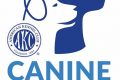 Best Canine Partners Programs for Car Dogs My Caring Dog – Tips, Stories, and Care Guides for Loving Pet Owners Best Canine Partners Programs for Car Dogs | My Caring Dog – Tips, Stories, and Care Guides for Loving Pet Owners