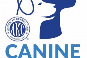 Best Canine Partners Programs for Car Dogs My Caring Dog – Tips, Stories, and Care Guides for Loving Pet Owners Best Canine Partners Programs for Car Dogs | My Caring Dog – Tips, Stories, and Care Guides for Loving Pet Owners