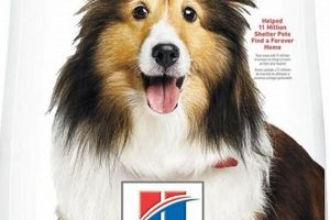 Hills Skin Care Dog Food My Caring Dog – Tips, Stories, and Care Guides for Loving Pet Owners Hills Skin Care Dog Food | My Caring Dog – Tips, Stories, and Care Guides for Loving Pet Owners