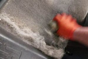 Best Car Wash for Dog Hair: Tips & Tricks My Caring Dog – Tips, Stories, and Care Guides for Loving Pet Owners Best Car Wash for Dog Hair: Tips & Tricks | My Caring Dog – Tips, Stories, and Care Guides for Loving Pet Owners