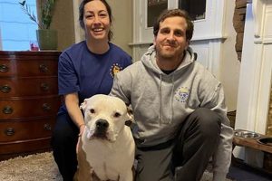 Foster Care For Dogs Whose Owners Are In Hospital My Caring Dog – Tips, Stories, and Care Guides for Loving Pet Owners Foster Care For Dogs Whose Owners Are In Hospital | My Caring Dog – Tips, Stories, and Care Guides for Loving Pet Owners