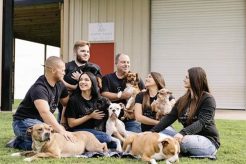 Top Dog Day Care Centers Central Coast, CA My Caring Dog – Tips, Stories, and Care Guides for Loving Pet Owners Top Dog Day Care Centers Central Coast, CA | My Caring Dog – Tips, Stories, and Care Guides for Loving Pet Owners