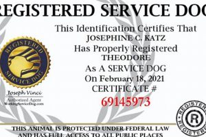 Free Companion Dog Certification My Caring Dog – Tips, Stories, and Care Guides for Loving Pet Owners Free Companion Dog Certification | My Caring Dog – Tips, Stories, and Care Guides for Loving Pet Owners