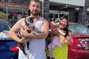 Best Dog Day Care in Grand Blanc, MI | Top Kennels My Caring Dog – Tips, Stories, and Care Guides for Loving Pet Owners Best Dog Day Care in Grand Blanc, MI | Top Kennels | My Caring Dog – Tips, Stories, and Care Guides for Loving Pet Owners