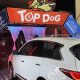 Poinciana's Top Dog Car Wash: Best in Town | My Caring Dog – Tips, Stories, and Care Guides for Loving Pet Owners