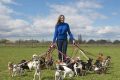 Best Dog Walk Jobs Near Me: Car Dog Edition My Caring Dog – Tips, Stories, and Care Guides for Loving Pet Owners Best Dog Walk Jobs Near Me: Car Dog Edition | My Caring Dog – Tips, Stories, and Care Guides for Loving Pet Owners