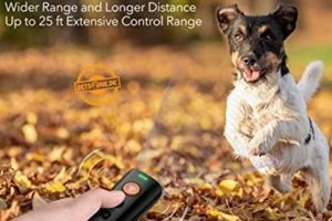 Best Dog Care Edge Ultrasonic Trainer for Bark Control My Caring Dog – Tips, Stories, and Care Guides for Loving Pet Owners Best Dog Care Edge Ultrasonic Trainer for Bark Control | My Caring Dog – Tips, Stories, and Care Guides for Loving Pet Owners
