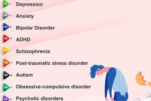 Best Psychiatric Service Dogs for Mental Disabilities My Caring Dog – Tips, Stories, and Care Guides for Loving Pet Owners Best Psychiatric Service Dogs for Mental Disabilities | My Caring Dog – Tips, Stories, and Care Guides for Loving Pet Owners