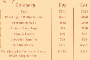 Understanding Dog Care Costs & Budgeting My Caring Dog – Tips, Stories, and Care Guides for Loving Pet Owners Understanding Dog Care Costs & Budgeting | My Caring Dog – Tips, Stories, and Care Guides for Loving Pet Owners