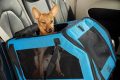 Top Dog Car Seat Carrier Bags & Travel Crates My Caring Dog – Tips, Stories, and Care Guides for Loving Pet Owners Top Dog Car Seat Carrier Bags & Travel Crates | My Caring Dog – Tips, Stories, and Care Guides for Loving Pet Owners