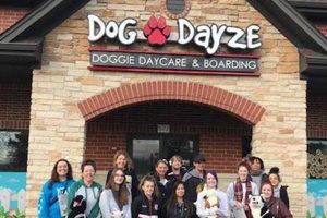 Best Dog Day Care in Bolingbrook IL: Top Centers My Caring Dog – Tips, Stories, and Care Guides for Loving Pet Owners Best Dog Day Care in Bolingbrook IL: Top Centers | My Caring Dog – Tips, Stories, and Care Guides for Loving Pet Owners
