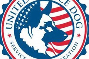 United States Service Dog My Caring Dog – Tips, Stories, and Care Guides for Loving Pet Owners United States Service Dog | My Caring Dog – Tips, Stories, and Care Guides for Loving Pet Owners