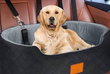 Best Car Seat Dogs: Safe & Happy Travels My Caring Dog – Tips, Stories, and Care Guides for Loving Pet Owners Best Car Seat Dogs: Safe & Happy Travels | My Caring Dog – Tips, Stories, and Care Guides for Loving Pet Owners