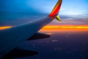 Traveling with Southwest Service Animals: A Guide My Caring Dog – Tips, Stories, and Care Guides for Loving Pet Owners Traveling with Southwest Service Animals: A Guide | My Caring Dog – Tips, Stories, and Care Guides for Loving Pet Owners