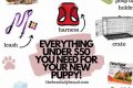 Car Dog Essentials: Must-Have Items My Caring Dog – Tips, Stories, and Care Guides for Loving Pet Owners Car Dog Essentials: Must-Have Items | My Caring Dog – Tips, Stories, and Care Guides for Loving Pet Owners