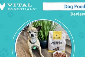 Vital Care Dog Food My Caring Dog – Tips, Stories, and Care Guides for Loving Pet Owners Vital Care Dog Food | My Caring Dog – Tips, Stories, and Care Guides for Loving Pet Owners