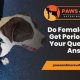 Ultimate Dog Period Care Guide | My Caring Dog – Tips, Stories, and Care Guides for Loving Pet Owners