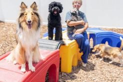 Top Dog Day Care in Raleigh NC: Find the Best My Caring Dog – Tips, Stories, and Care Guides for Loving Pet Owners Top Dog Day Care in Raleigh NC: Find the Best | My Caring Dog – Tips, Stories, and Care Guides for Loving Pet Owners