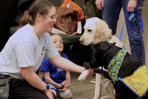 Colorado Service Dogs: A Complete Guide My Caring Dog – Tips, Stories, and Care Guides for Loving Pet Owners Colorado Service Dogs: A Complete Guide | My Caring Dog – Tips, Stories, and Care Guides for Loving Pet Owners