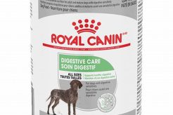 Best Royal Canin Digestive Care Canned Dog Food My Caring Dog – Tips, Stories, and Care Guides for Loving Pet Owners Best Royal Canin Digestive Care Canned Dog Food | My Caring Dog – Tips, Stories, and Care Guides for Loving Pet Owners