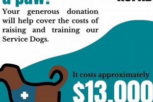 Donate Your Dog To Service: Best Organizations My Caring Dog – Tips, Stories, and Care Guides for Loving Pet Owners Donate Your Dog To Service: Best Organizations | My Caring Dog – Tips, Stories, and Care Guides for Loving Pet Owners