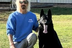 Alert K-9 Training Center My Caring Dog – Tips, Stories, and Care Guides for Loving Pet Owners Alert K-9 Training Center | My Caring Dog – Tips, Stories, and Care Guides for Loving Pet Owners
