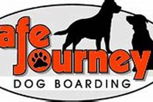 Best Dog Day Care in Lake Oswego: Top Choices My Caring Dog – Tips, Stories, and Care Guides for Loving Pet Owners Best Dog Day Care in Lake Oswego: Top Choices | My Caring Dog – Tips, Stories, and Care Guides for Loving Pet Owners