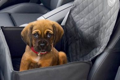 Waterproof Dog Car Seat My Caring Dog – Tips, Stories, and Care Guides for Loving Pet Owners Waterproof Dog Car Seat | My Caring Dog – Tips, Stories, and Care Guides for Loving Pet Owners