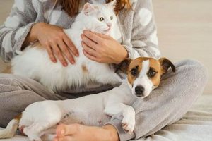 The Ultimate Guide to Companion Dogs My Caring Dog – Tips, Stories, and Care Guides for Loving Pet Owners The Ultimate Guide to Companion Dogs | My Caring Dog – Tips, Stories, and Care Guides for Loving Pet Owners