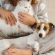 The Ultimate Guide to Companion Dogs | My Caring Dog – Tips, Stories, and Care Guides for Loving Pet Owners