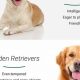 Top Service Dog Breeds: Ultimate List | My Caring Dog – Tips, Stories, and Care Guides for Loving Pet Owners