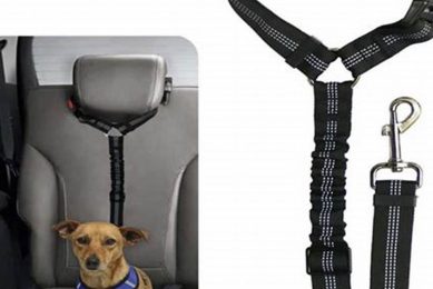 Best Car Seat Belts for Dogs: Safe Travel My Caring Dog – Tips, Stories, and Care Guides for Loving Pet Owners Best Car Seat Belts for Dogs: Safe Travel | My Caring Dog – Tips, Stories, and Care Guides for Loving Pet Owners