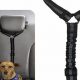 Best Car Seat Belts for Dogs: Safe Travel | My Caring Dog – Tips, Stories, and Care Guides for Loving Pet Owners